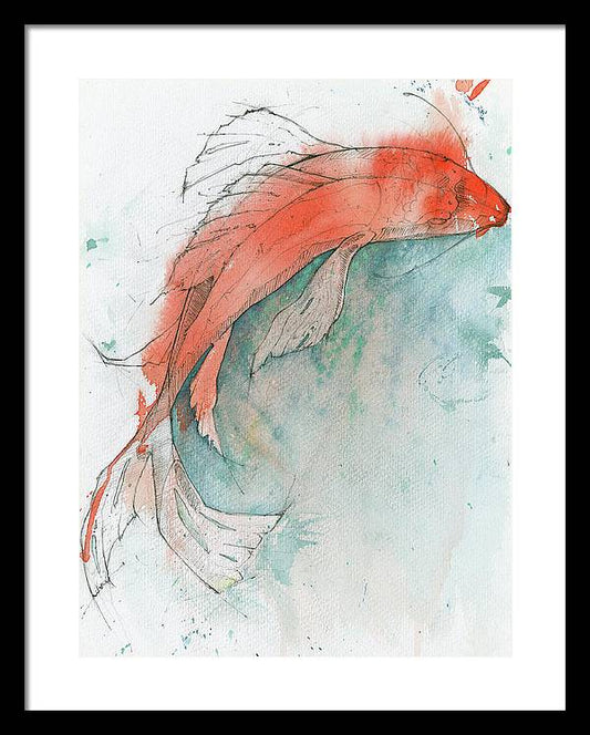 Koi Fish 1B - Framed Print