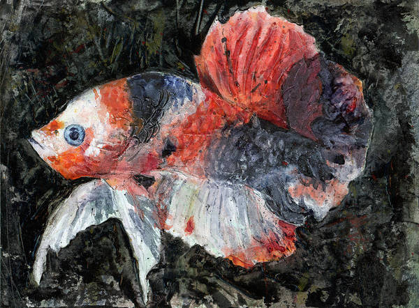Koi Fish 2.0 - Art Print